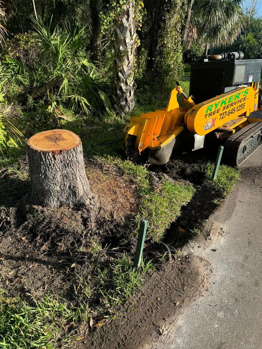 Stump Removal for Ryker's Tree Service in Dunedin, FL