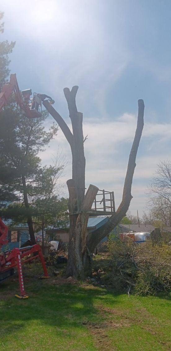 Tree Trimming for Lawn Ranger Yard And Tree Service LLC in Ottumwa, IA