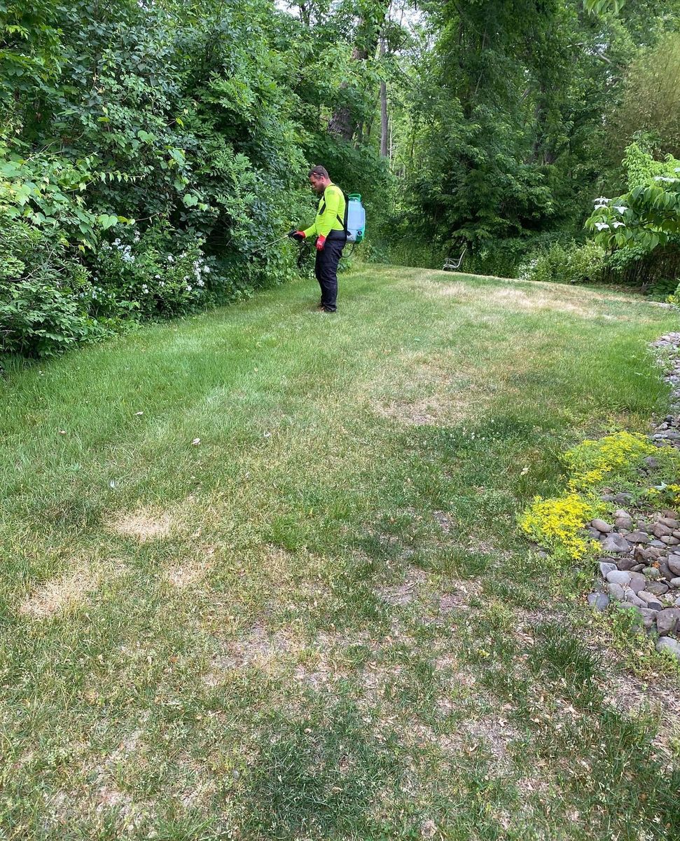 Weed Control for Perillo Property maintenance in Poughkeepsie, NY