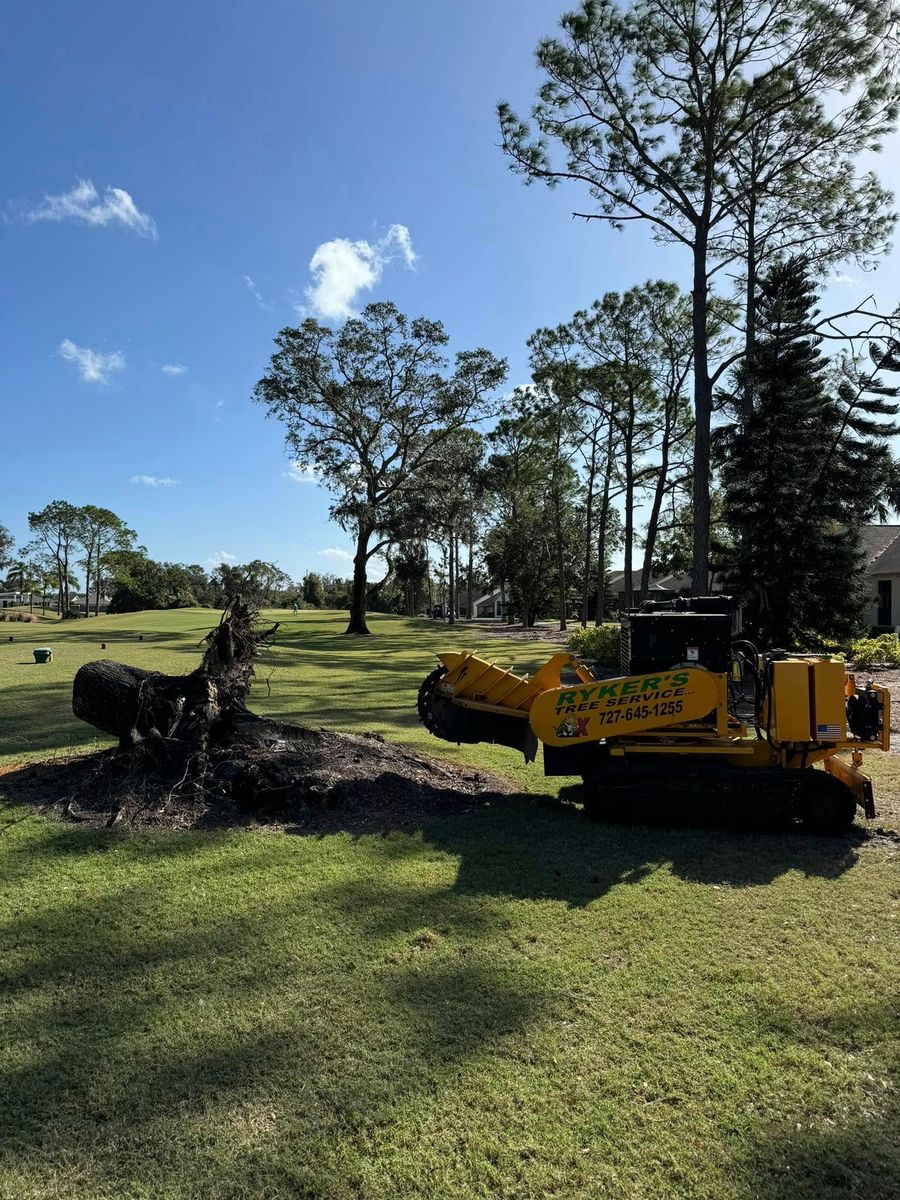 Stump Removal for Ryker's Tree Service in Dunedin, FL
