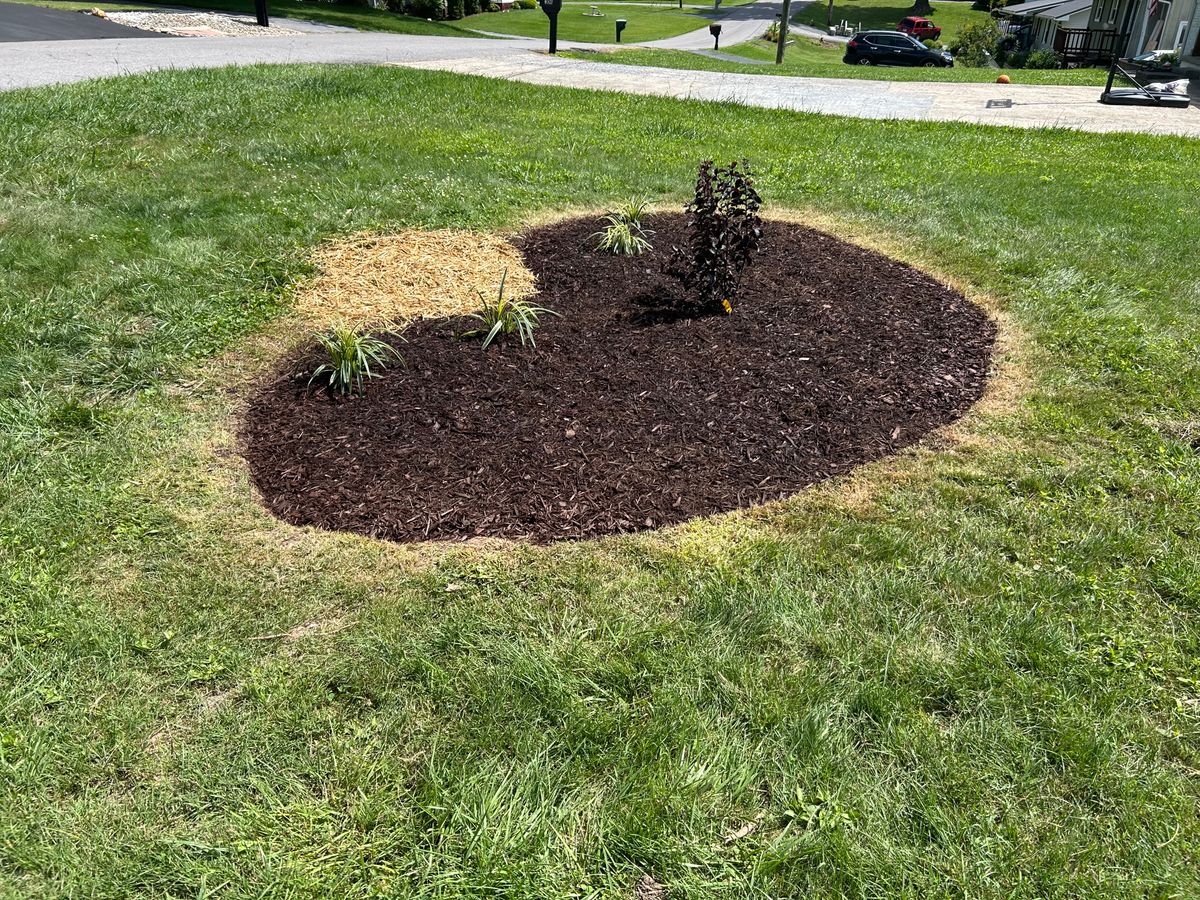 Landscape Installation for Gatrell Landscape & Tree Removal in Bluff City, TN