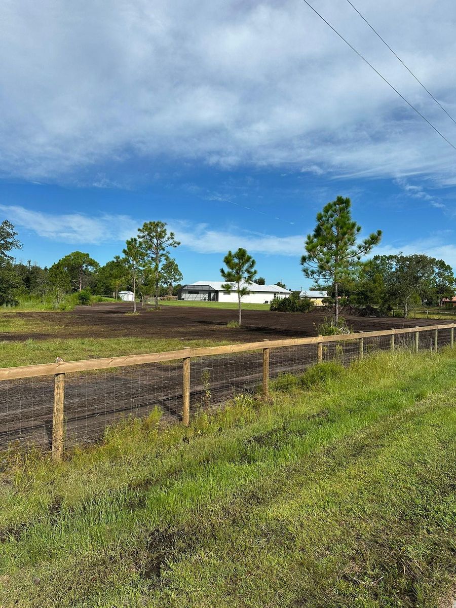 Tree Trimming & Removal for Windspirit Land Services in Hillsborough County, FL