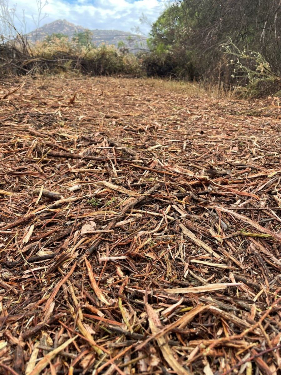 Mulching for High Standards Land Services in Saint Augustine, FL