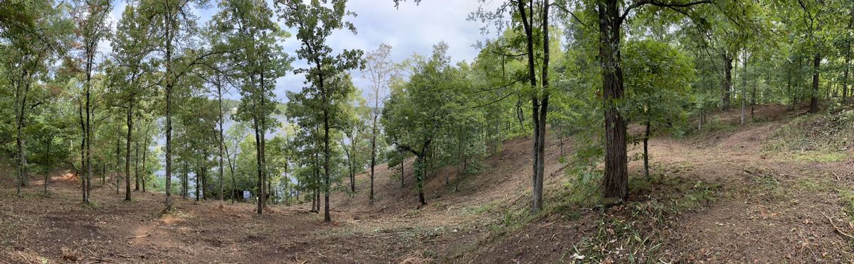 Forestry Mulching for Archer Land Management in Macon, GA