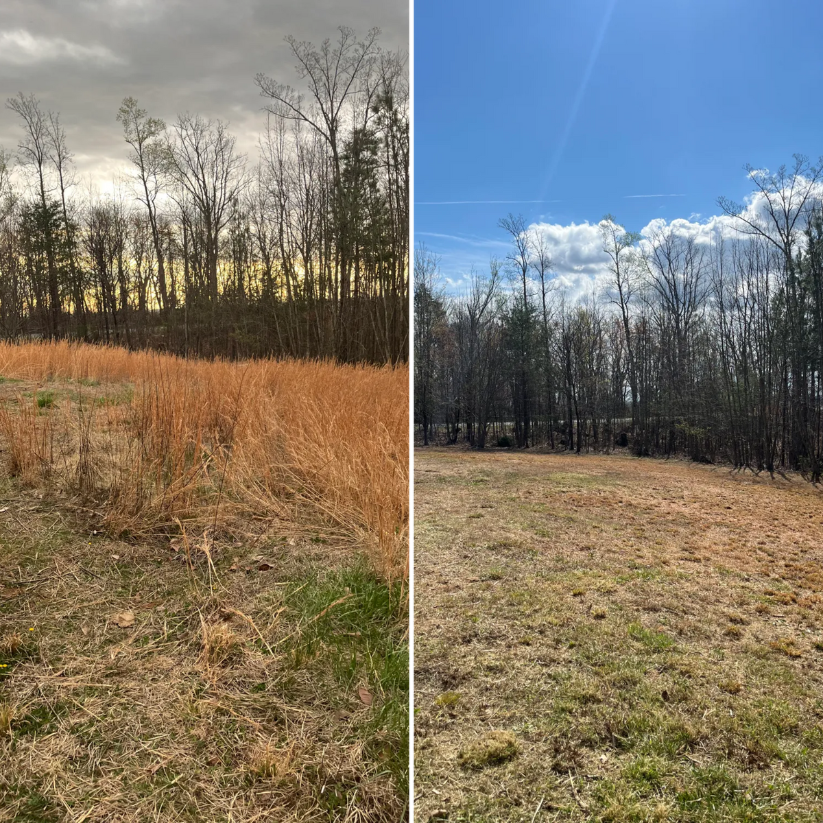 Brush cutting/clearing for Southside Land Management in Gretna, VA