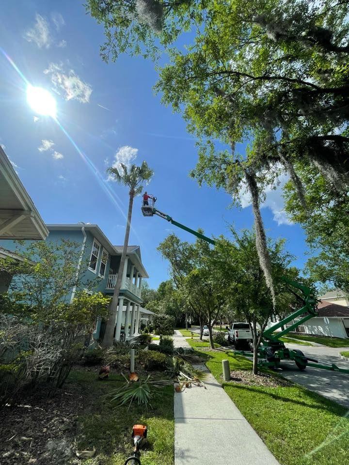 Tree Trimming for EB Trees and Landscape in Lutz, FL