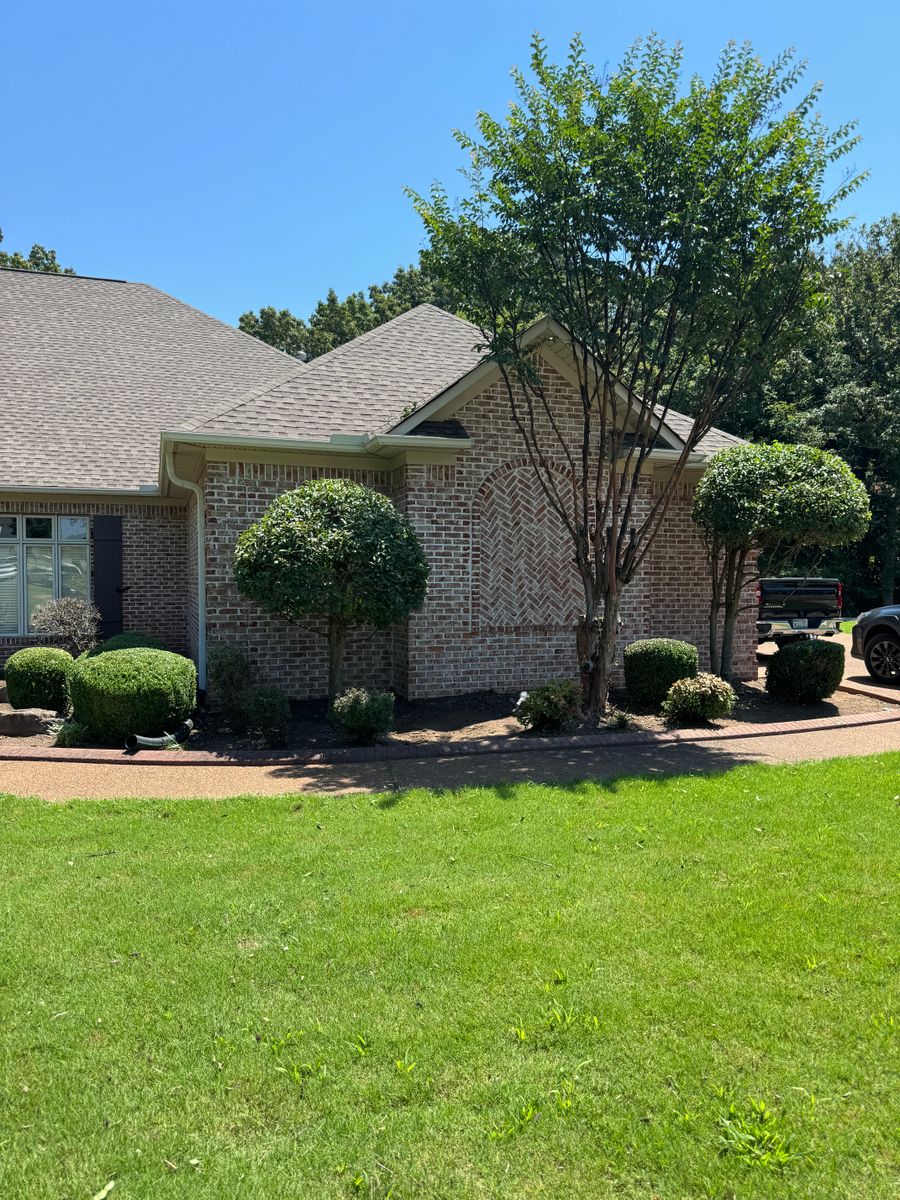Shrub Trimming for Greenscape Solutions in Milan, TN