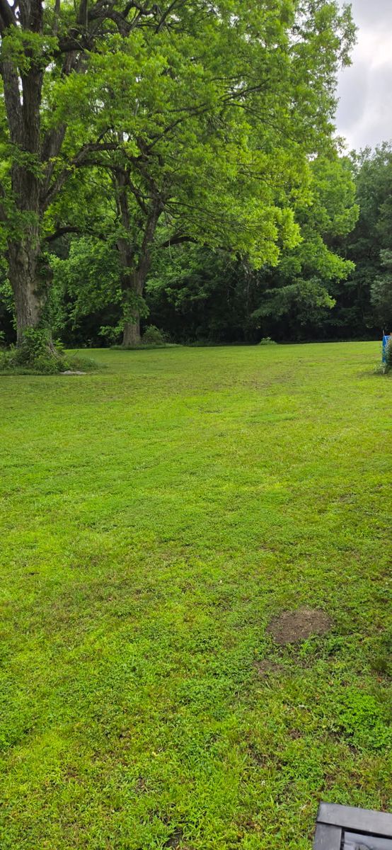 Mowing for Fresh Cut Yard & Lawn Care LLC in Forsyth, GA