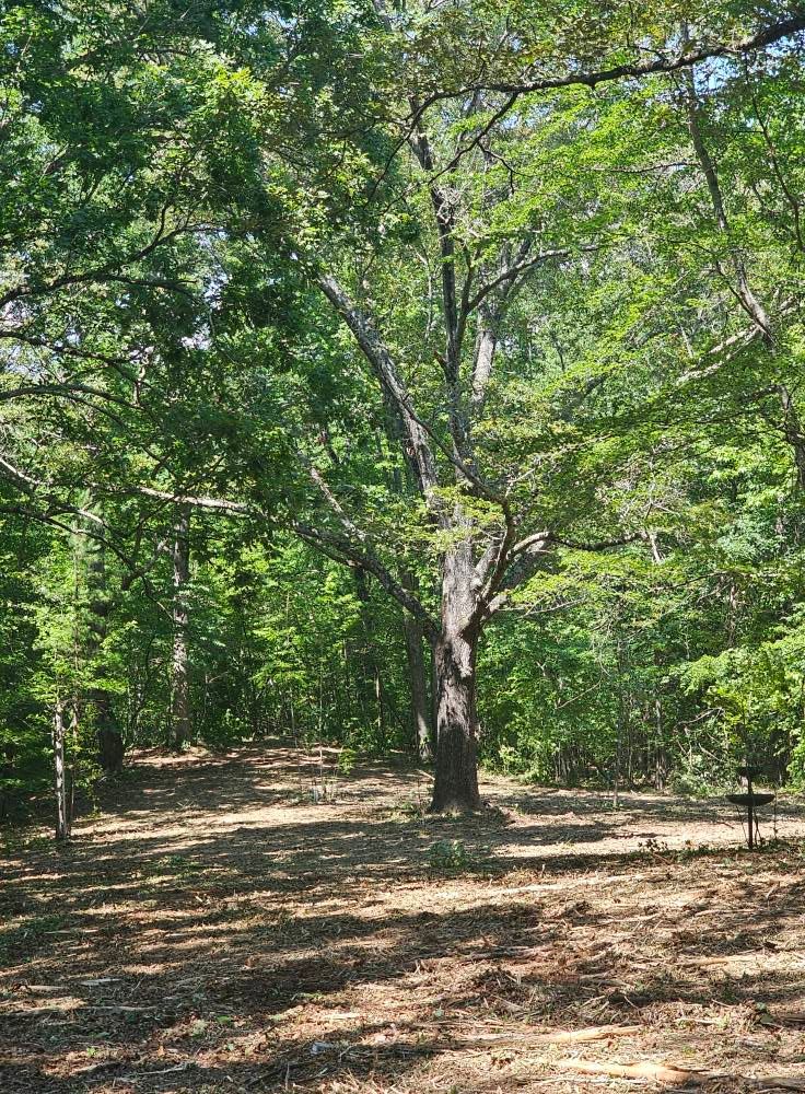 Site Preparation for Whaley Land Development in Athens, TN