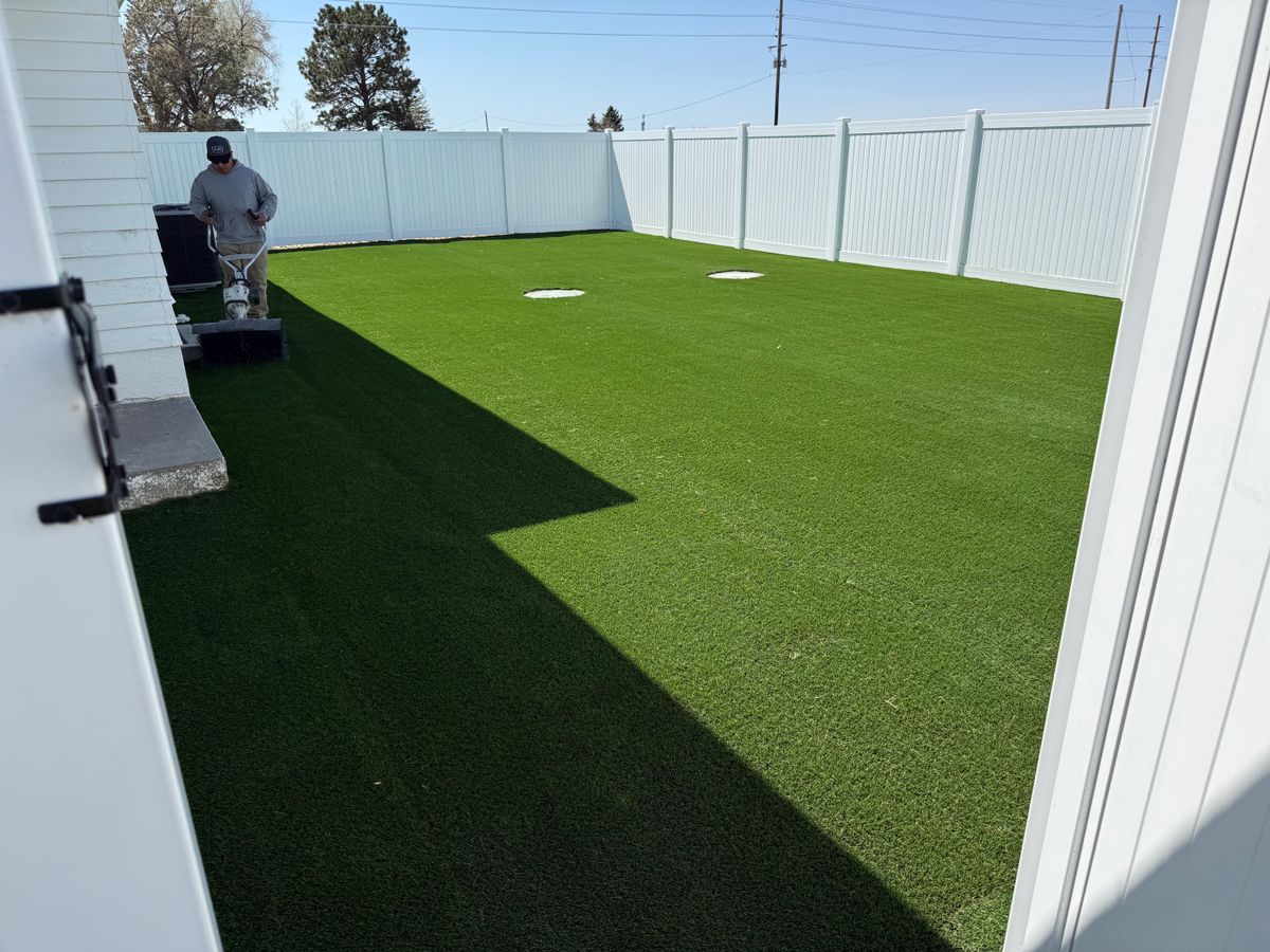 Artificial Turf Installation for Forever Green Turf Pros in Greeley, CO