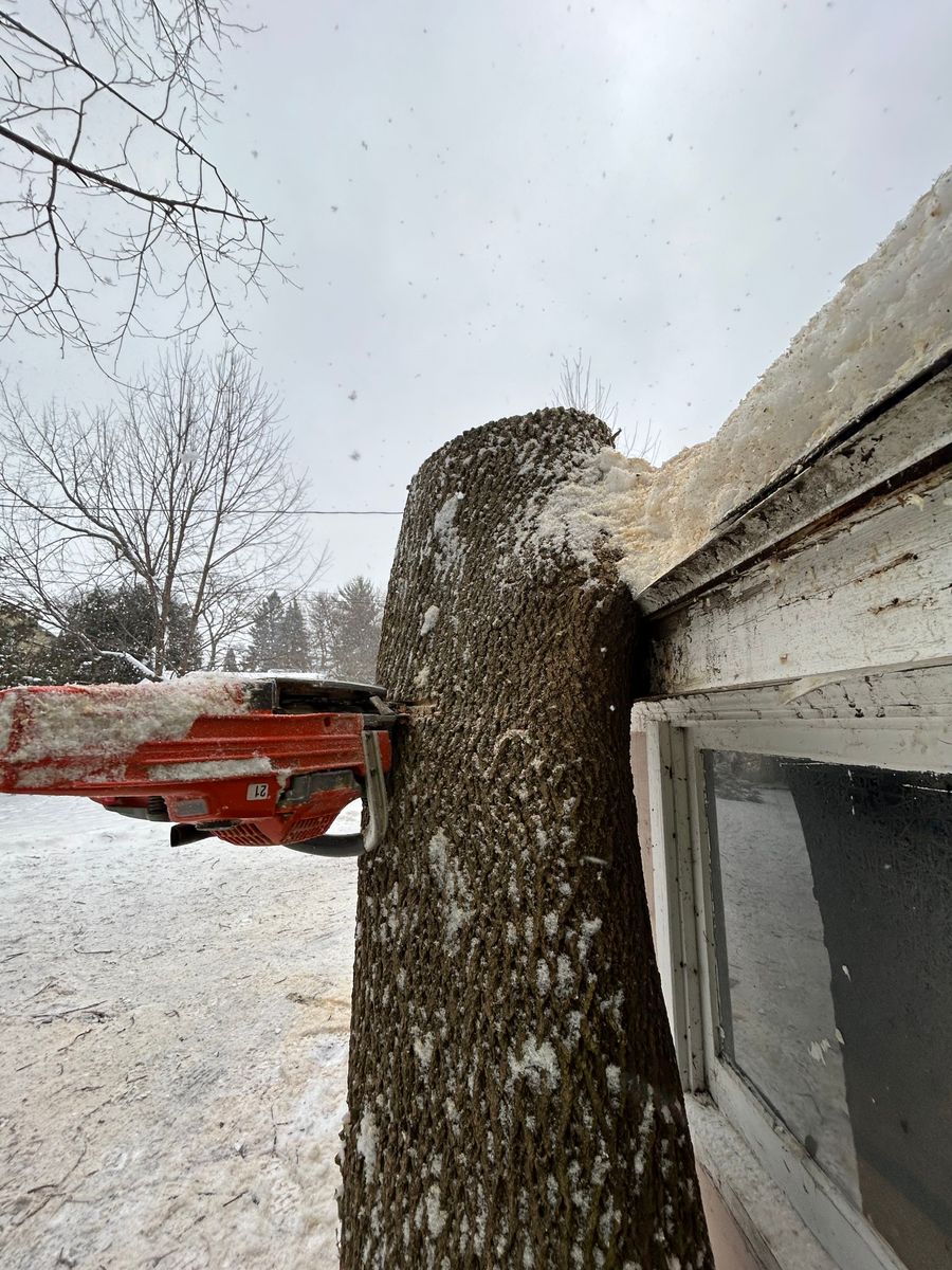 Tree Removal for S.H. Tree Service LLC in Hilton, NY