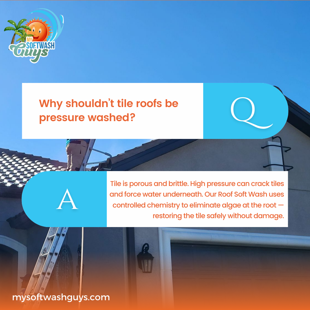 Roof Cleaning and power wash for My Soft Wash Guys in Venice, FL