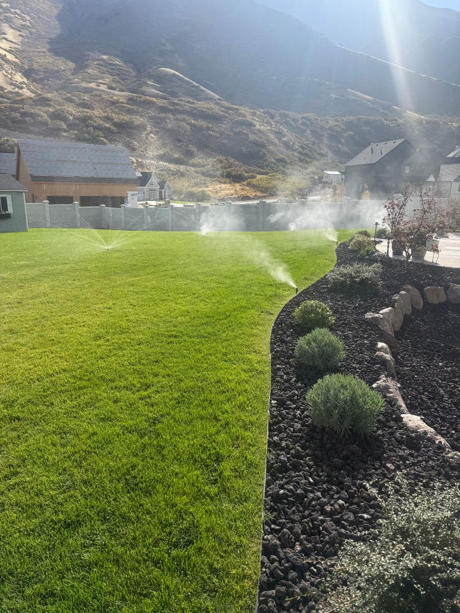 Weed Control for Platinum Lawn Service in Santaquin, UT
