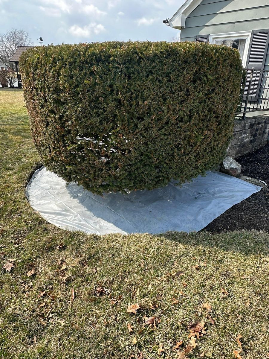 Landscape design for OT Lawn and Landscaping LLC in Carey, OH