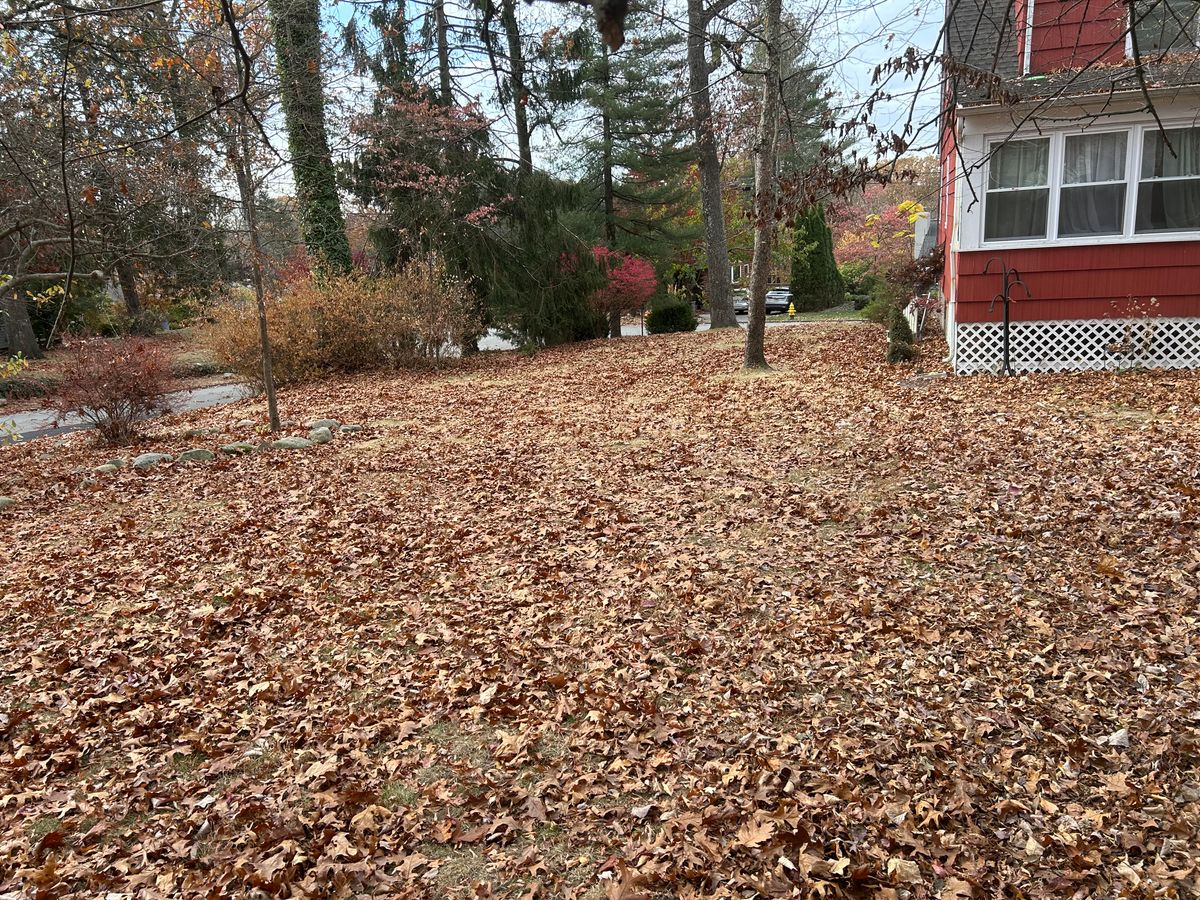 Fall and Spring Clean Up for Sanchez Home Services in Pompton Lakes, NJ