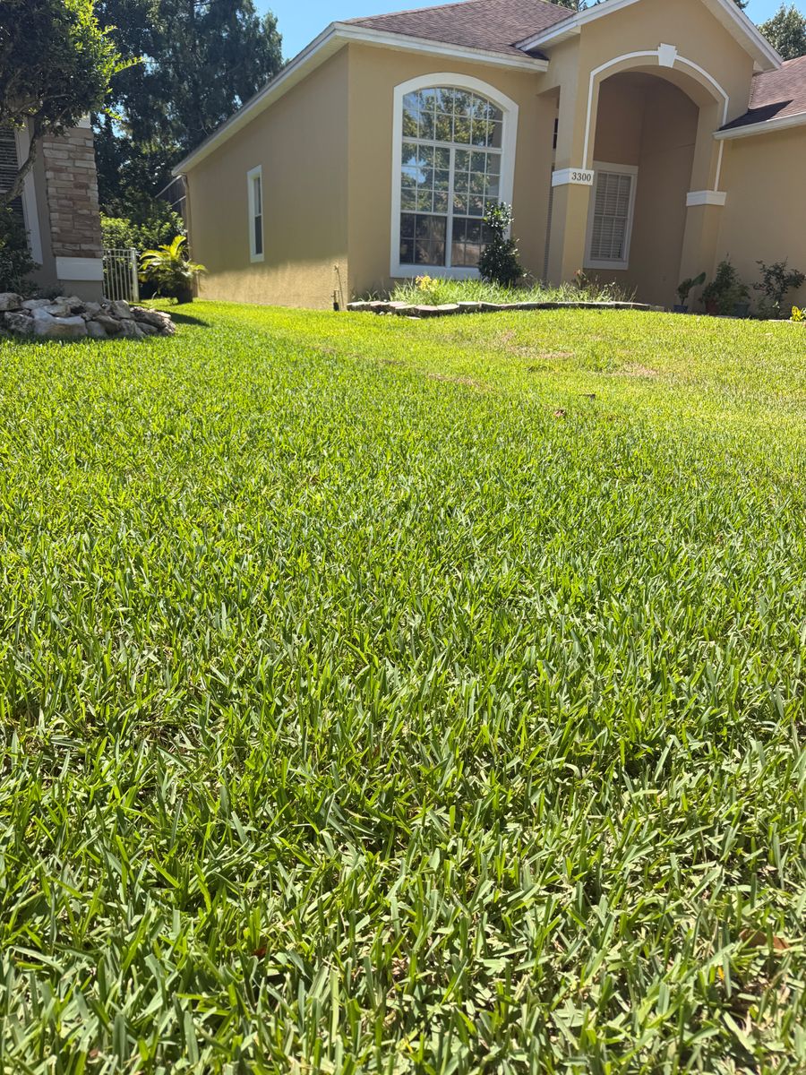 Sod Install for C4 Ground Control in Orlando, FL