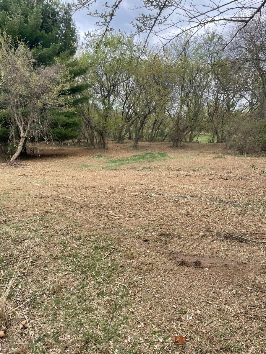 Forestry Mulching for DGD Outdoor Services LLC in Howell, MI