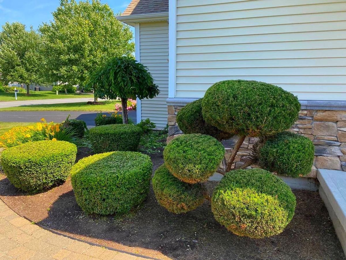 Mulch Installation for Sosa Landscaping and Gardens, LLC in Clifton Park, New York