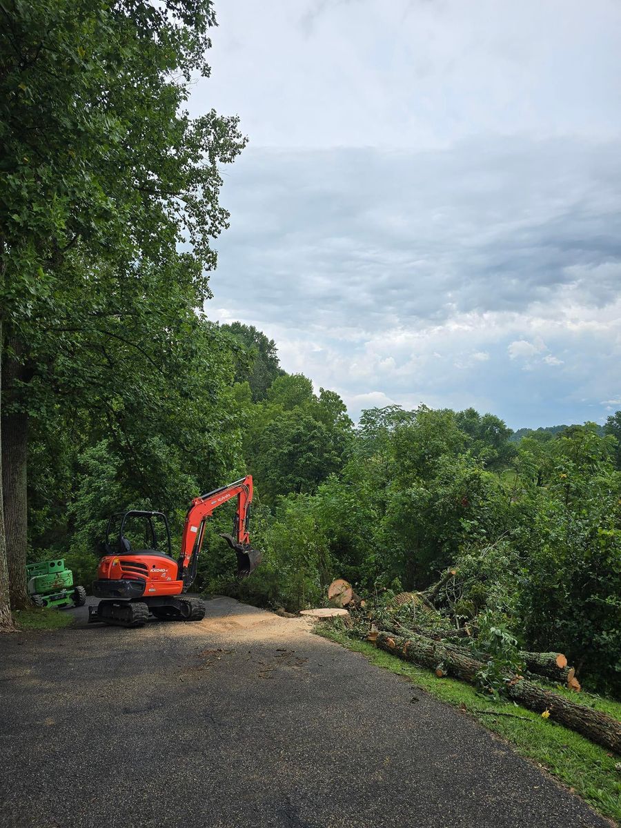 Tree Removal for M&L Lumber and Excavating in Jonesborough, TN