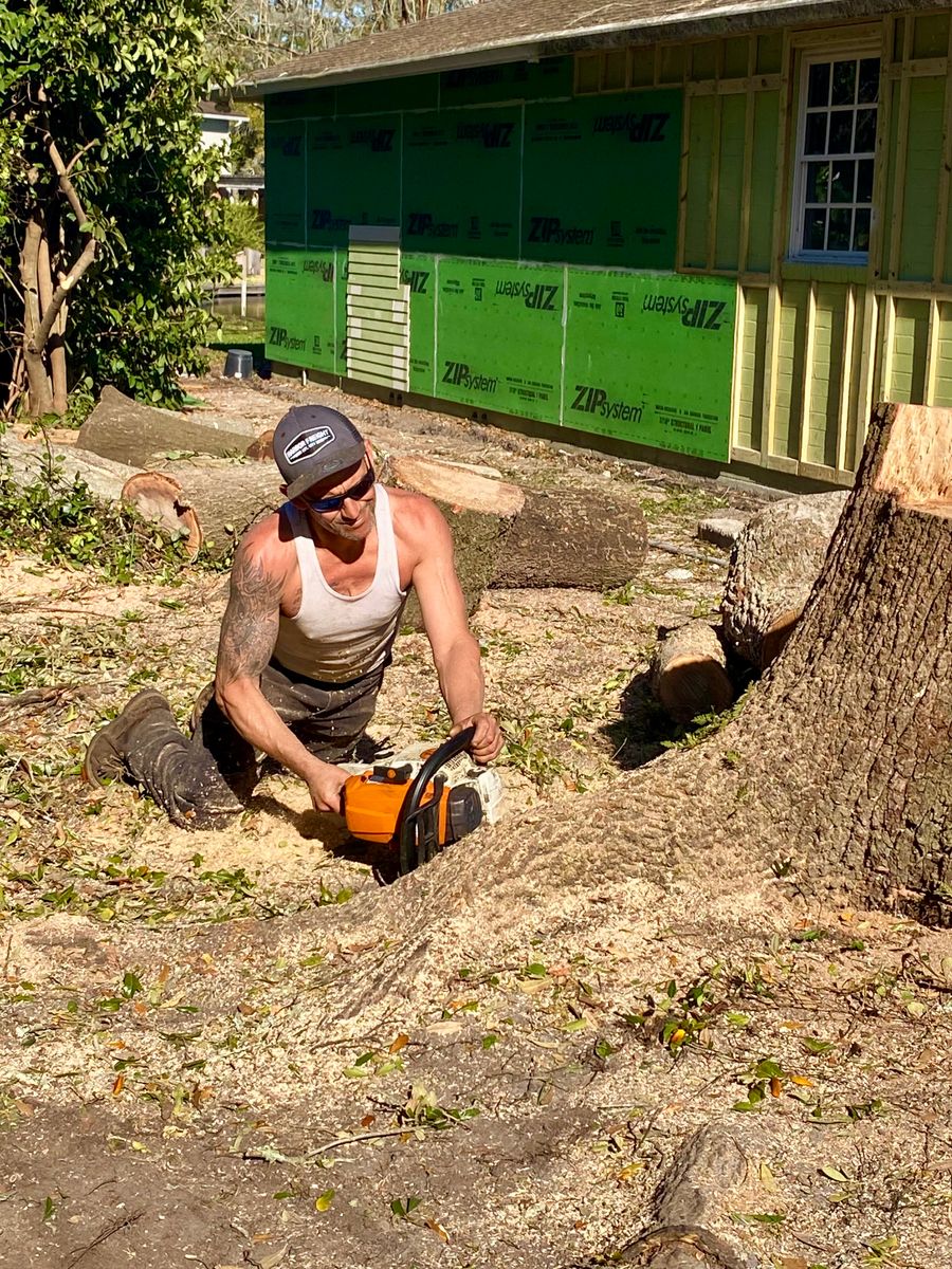 Stump Removal for Top Notch Tree Experts in Orange Park, FL