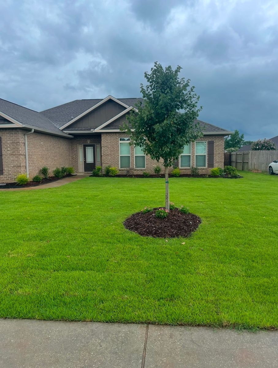 Shrub Care, Property Cleanup for Enhanced Landscape in Daphne, AL