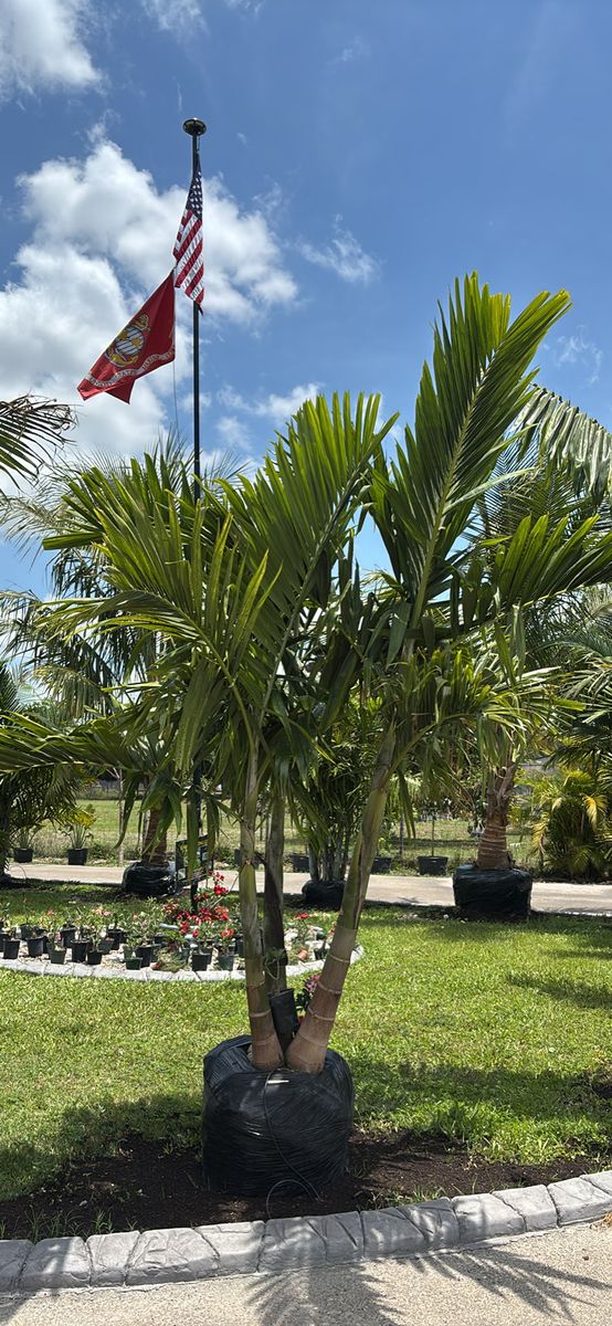 Landscape Design & Installation for Lawn Caring Guys in Cape Coral, FL