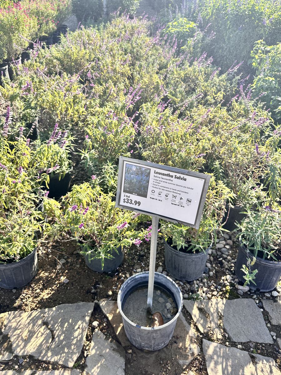 Landscape Installation for Atlas Land Design in Creekside Park, TX