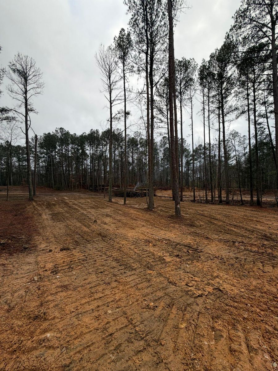 Land Clearing for Collins Constructors in Fyffe, AL