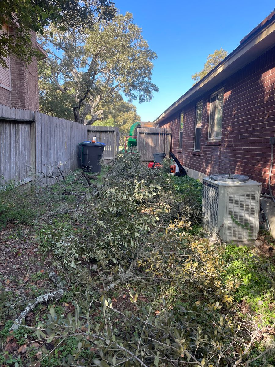 Fall and Spring Clean Up for Z’s Trees LLC in Grey Forest, TX