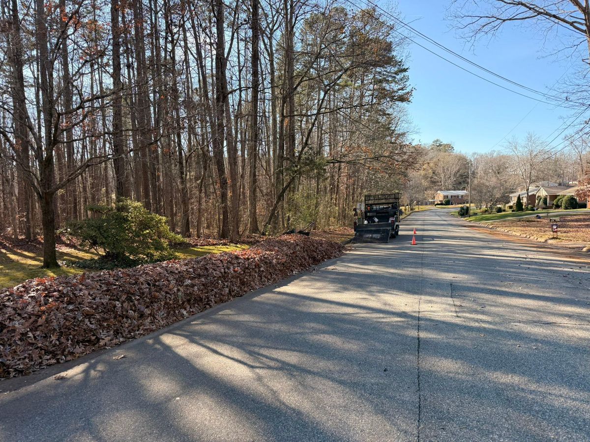 Leaf Clean Up for America's Top Pick Lawn & Landscaping in Gastonia, NC
