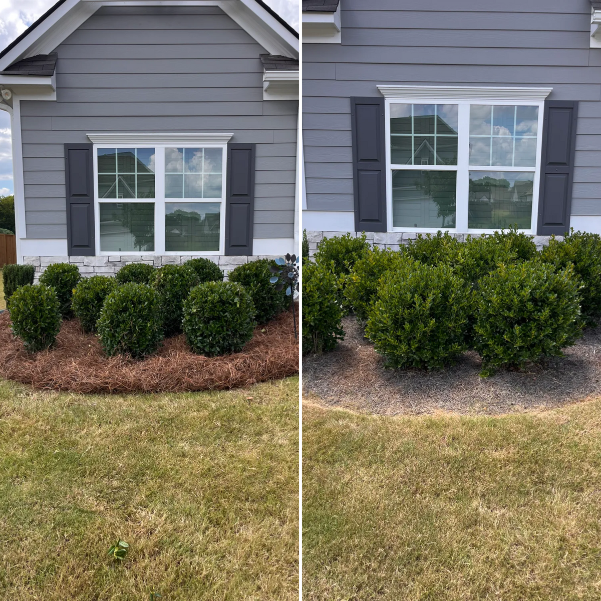 Tree & Shrub Care for VL Landscaping, LLC in Cartersville, GA