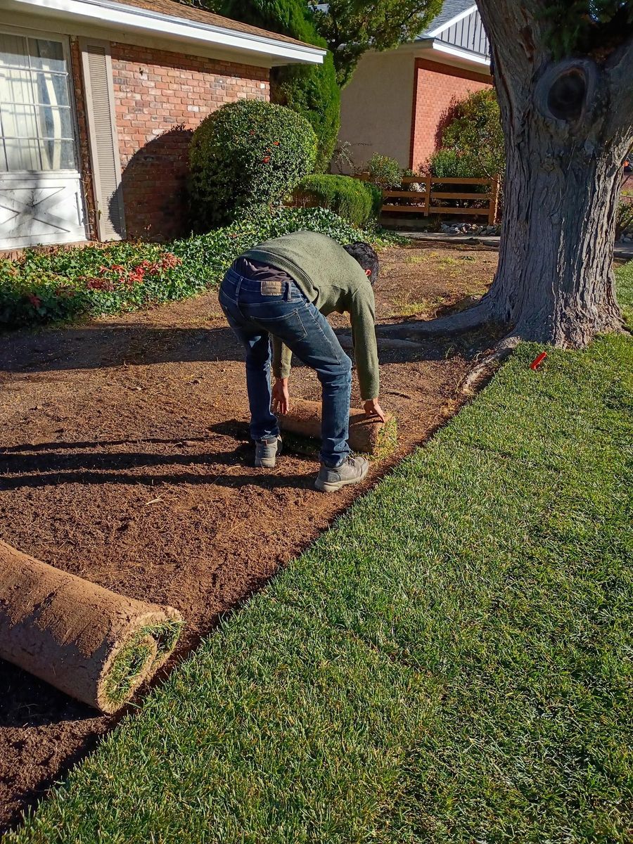 Sod Installation for 2 Brothers Landscaping in Albuquerque, NM