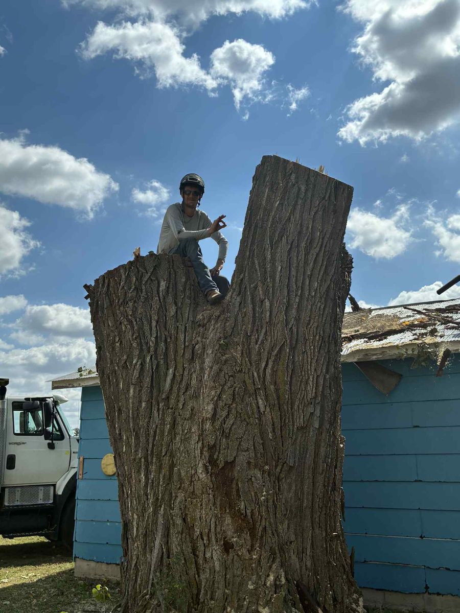 Tree Removal for SMH Tree Service in Atwood, KS