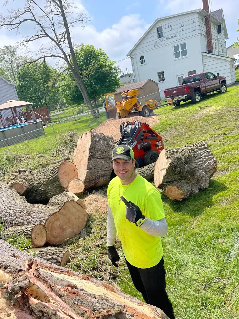 Tree Removal for Mays Tree and Stump Removal in Alden, NY