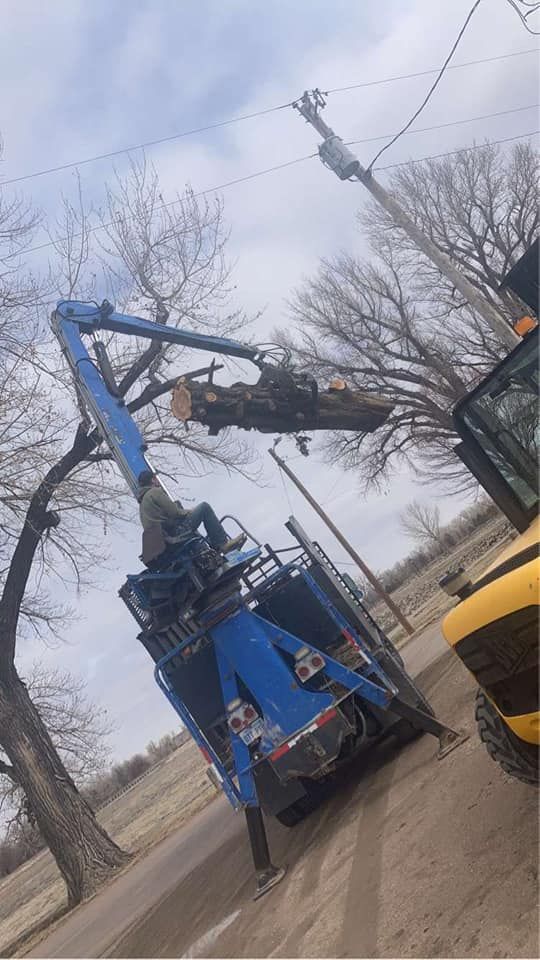 Tree Trimming for SMH Tree Service in Atwood, KS