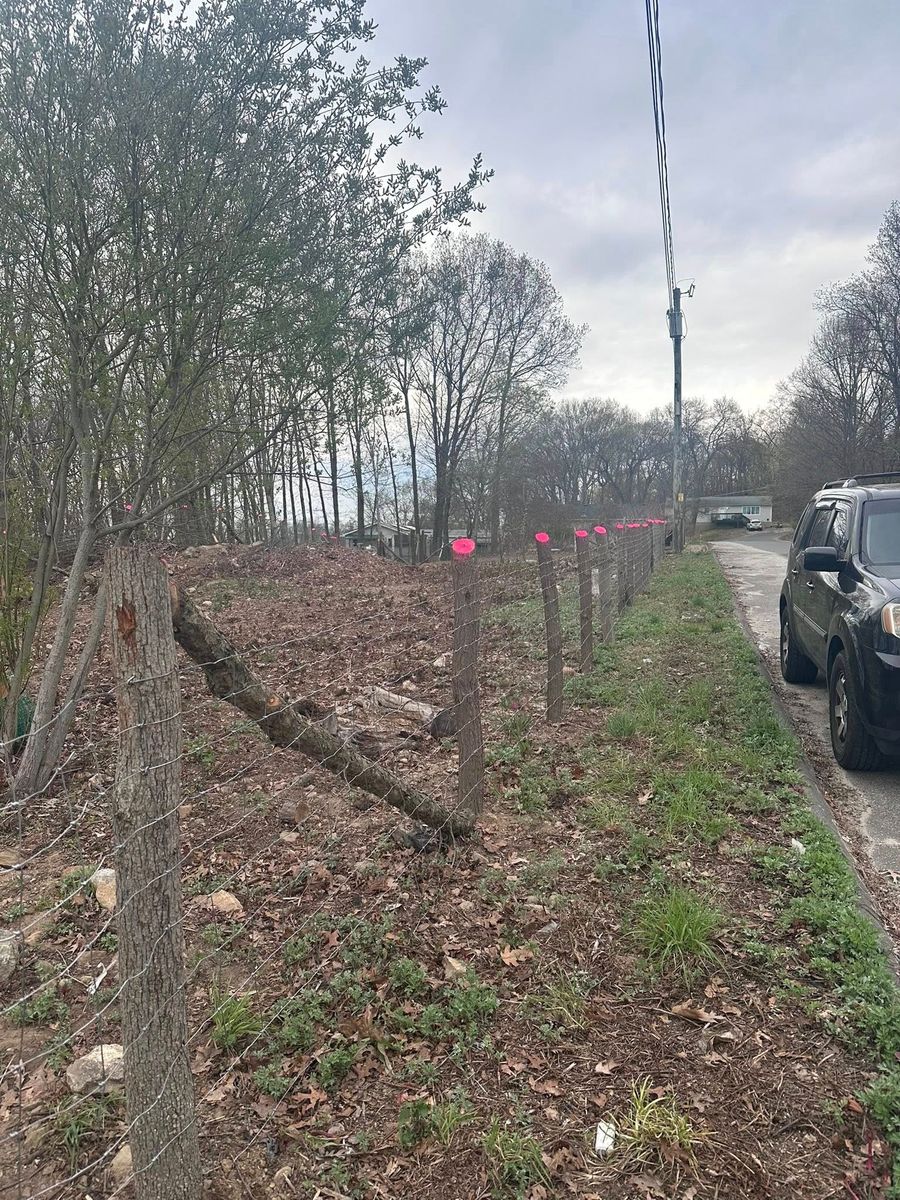 Tree Trimming for Guaman’s Landscaping in Waterbury, CT