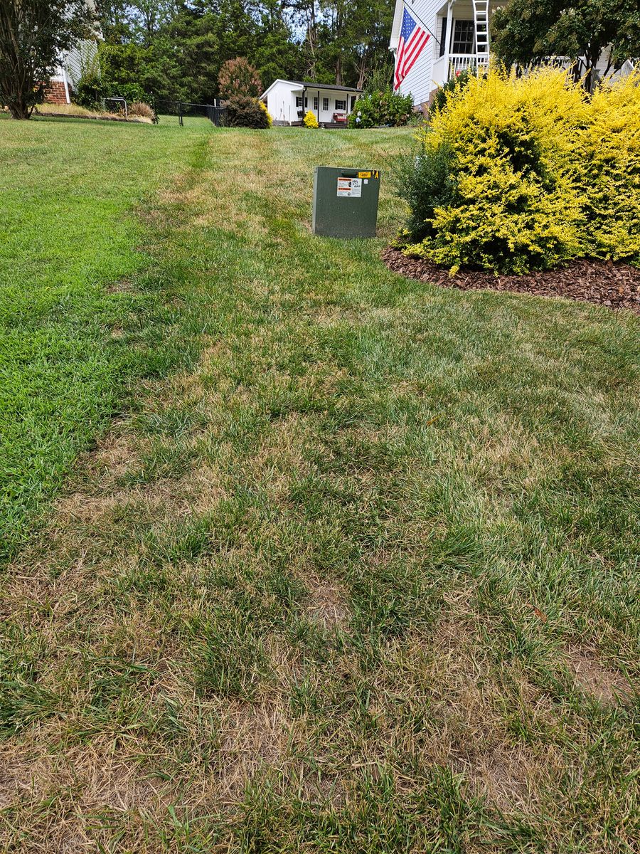 Fertilization & Weed, Insect and Diseases Control for Gallimore’s Lawn Care in Thomasville, NC