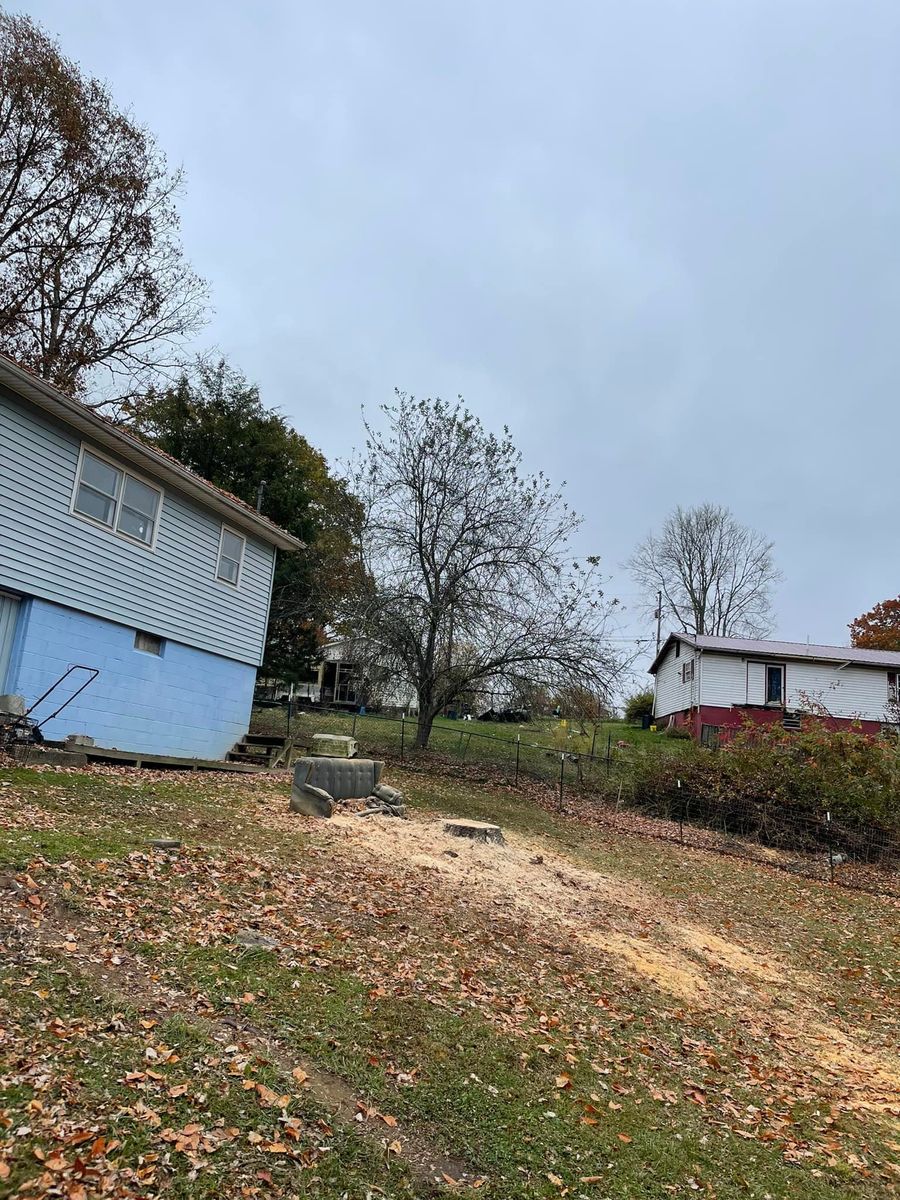 Stump Removal for Cook&Dye Tree Service in Bristol, VA