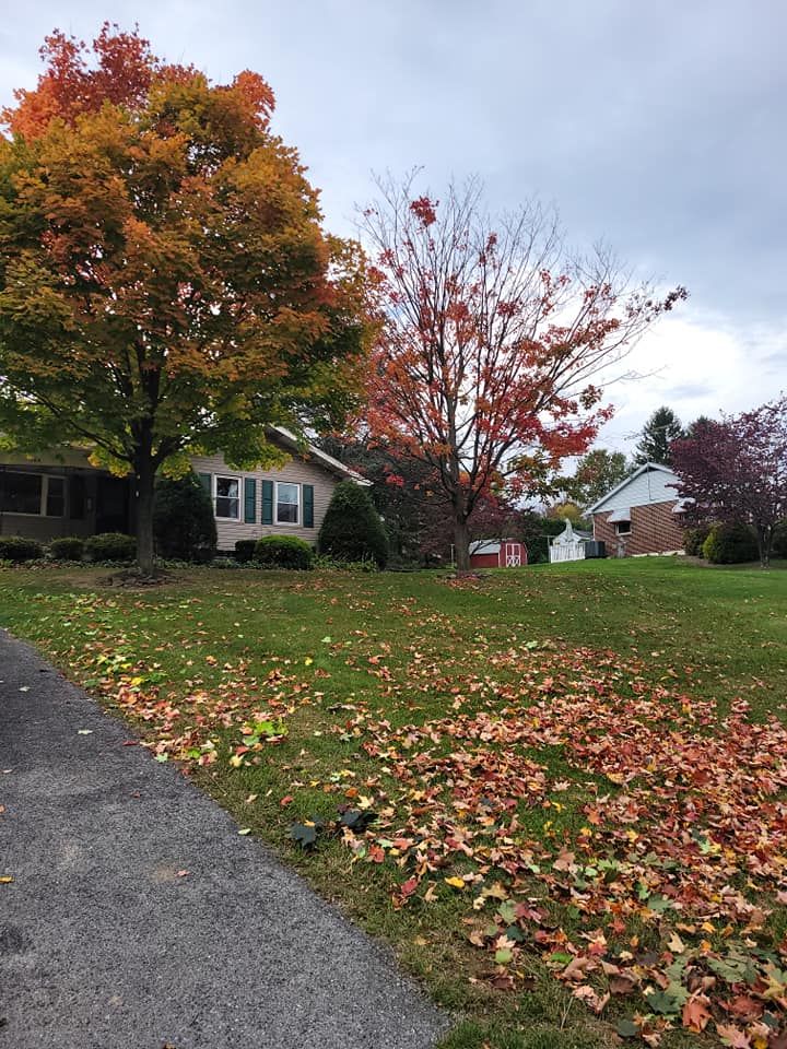 Fall Clean Up for Jonathan A. Henne Property Services. in Hamburg, PA