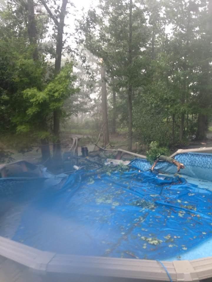 Emergency Tree Removal for Down To Earth Tree Service, LLC in Olmsted Falls, OH