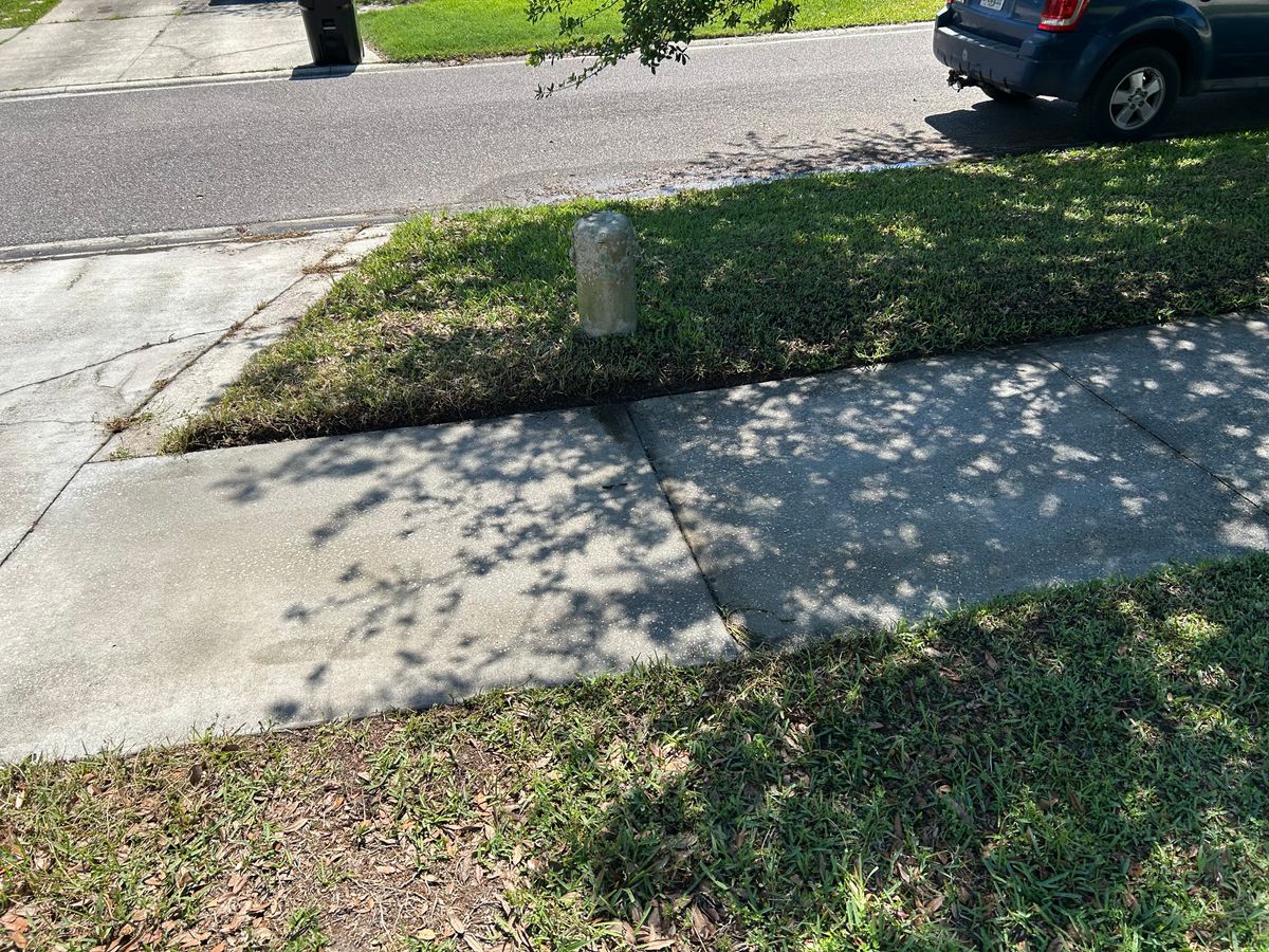 Driveway and Sidewalk Cleaning for Project Masters Group in Tampa, FL