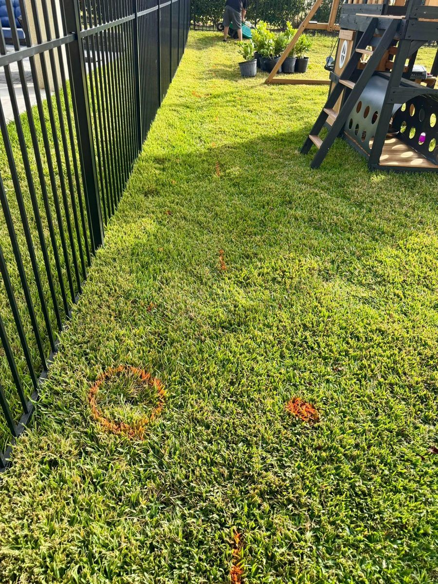 Land Grading for Shoreside Property Services in Apollo Beach, FL