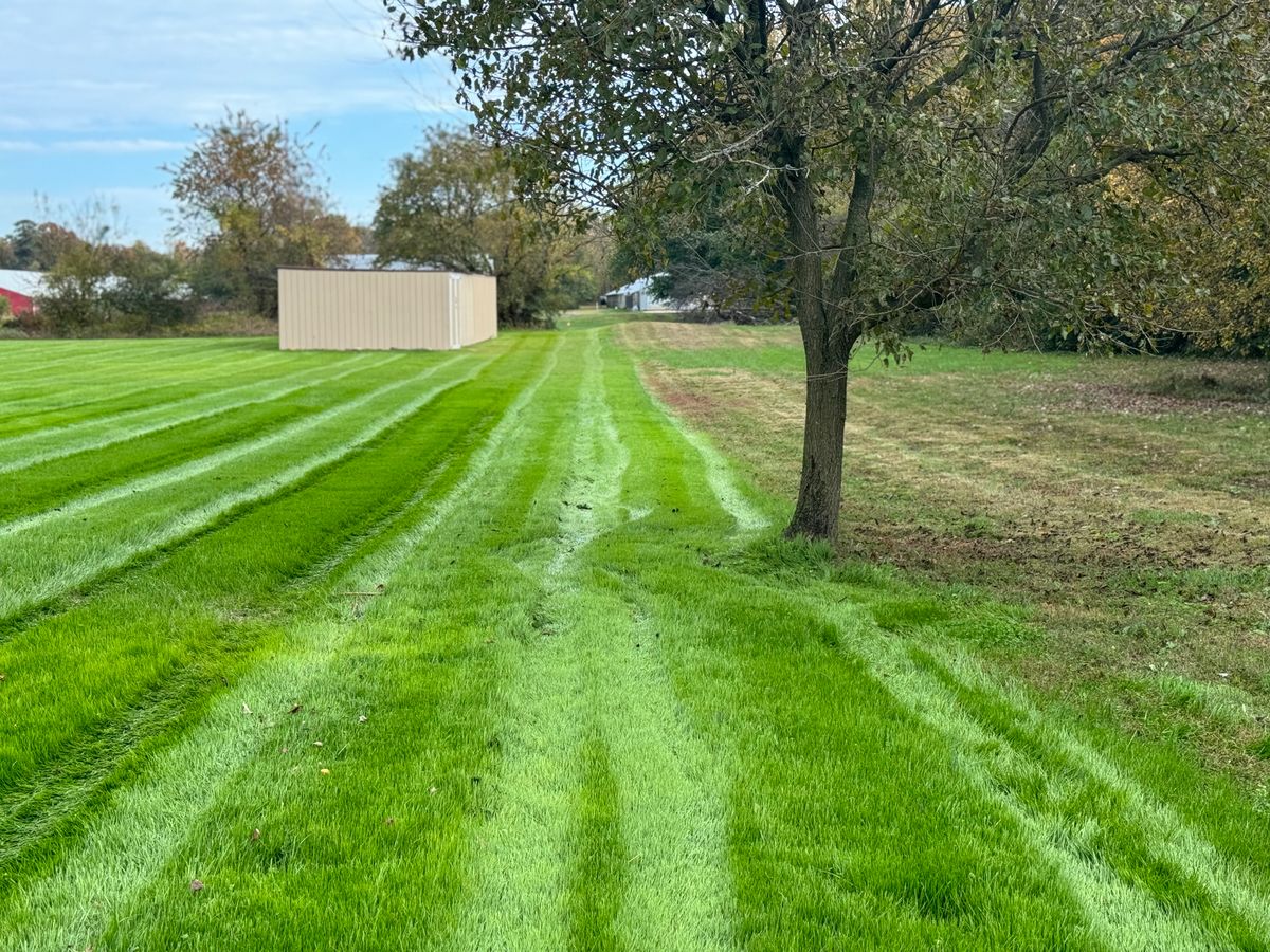 Complete Lawn Renovation for Solid Ground Outdoor Living Solutions in Seaford, DE