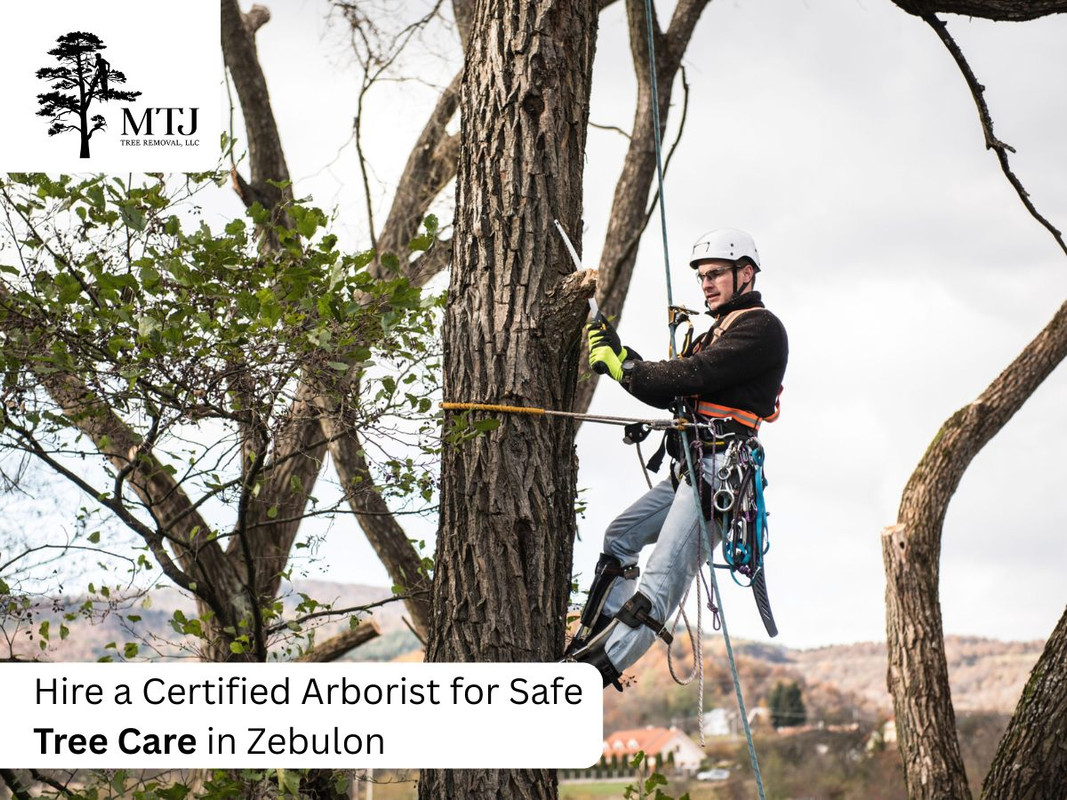 Tree Trimming for MTJ Tree Removal LLC in Zebulon, NC