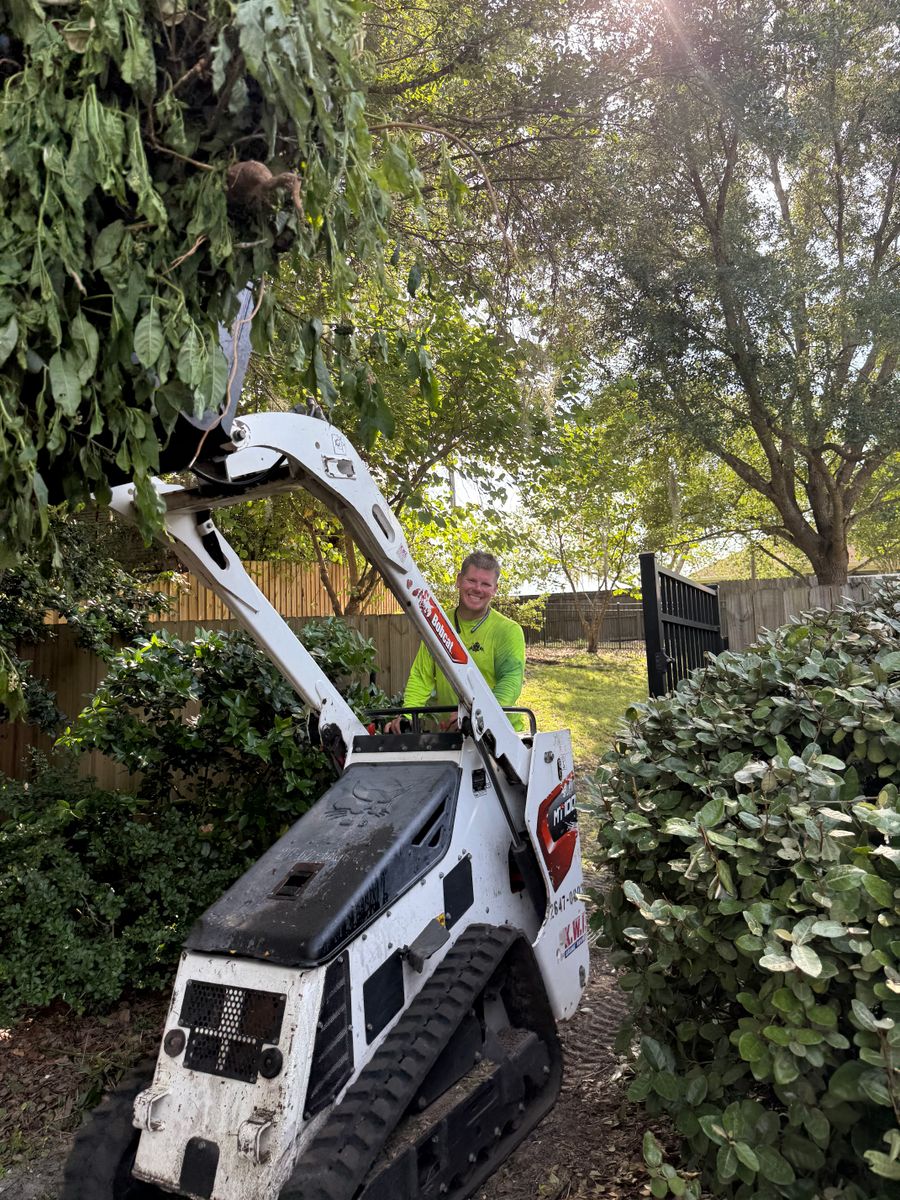 Tree Pruning for Amerigrown Tree And Lawn in Apopka, FL
