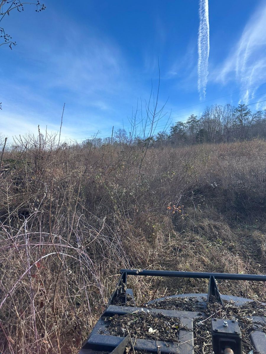 Land Grading for Excavation Innovations in Rogersville, TN