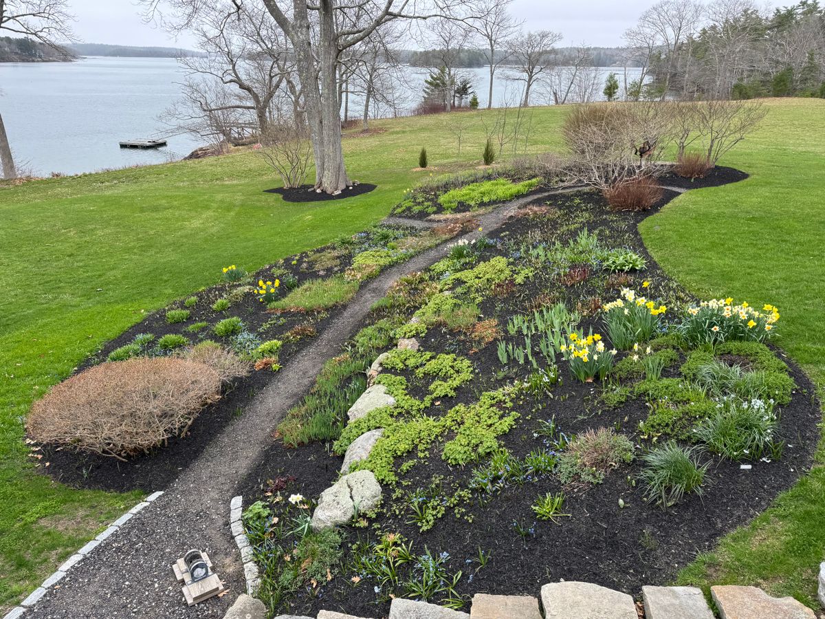 Landscape Design & Installation for Natural Roots in Georgetown, ME