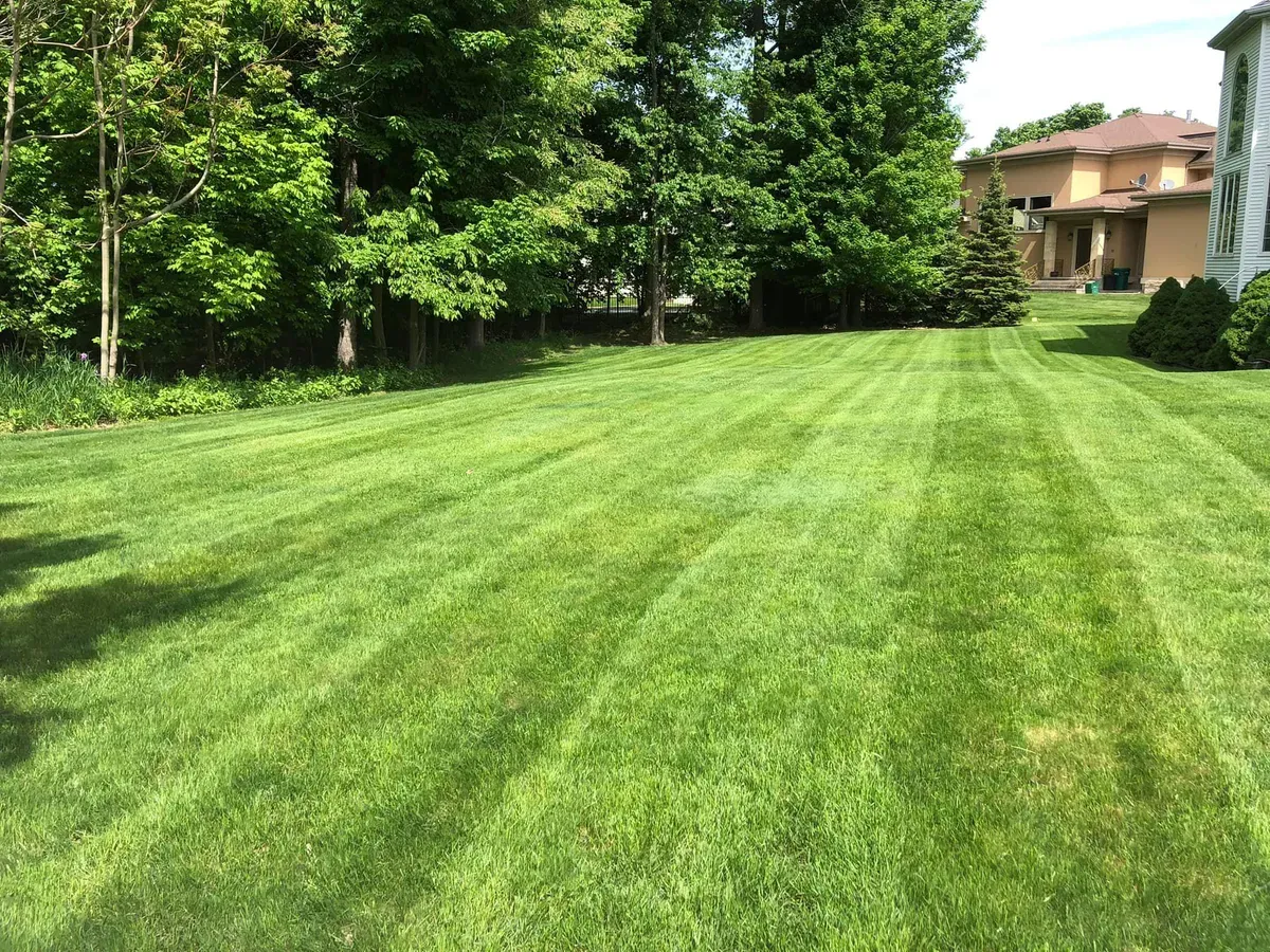 Lawn Maintenance & Lawn Rolling for Hauser's Complete Care INC in Lancaster, NY