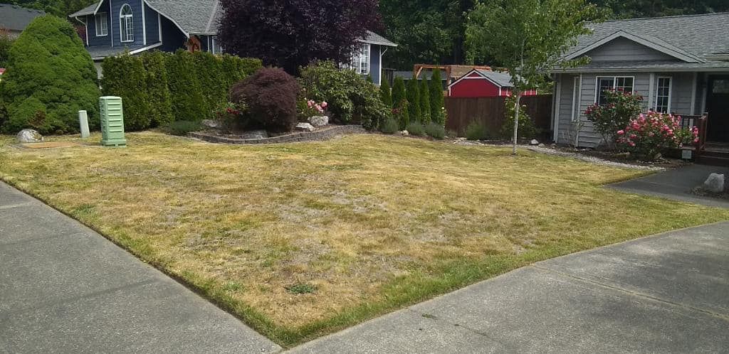 Lawn Aeration for Family Landscaping & Irrigation in Auburn, WA