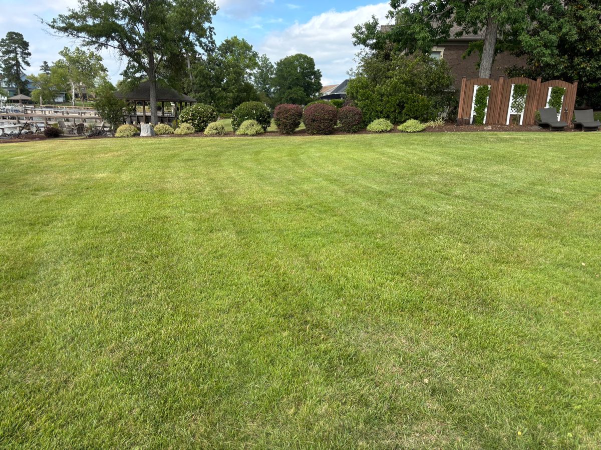 Mowing for Jonathan landscaping in Lexington, South Carolina